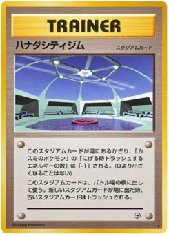 Cerulean City Gym (ハナダシティジム)