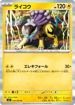 Raikou (ライコウ)