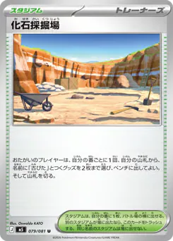 Fossil Excavation Site