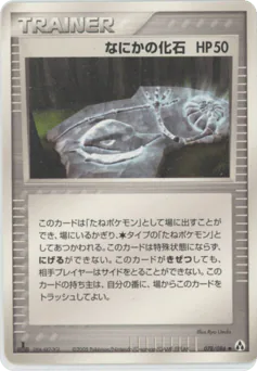 Mysterious Fossil