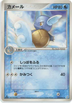 Wartortle (カメール)