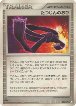 Expert Belt (たつじんのおび)