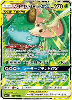 Venusaur & Snivy-GX (フシギバナ&ツタージャGX)
