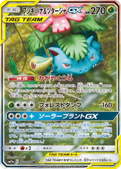 Venusaur & Snivy-GX (フシギバナ&ツタージャGX)