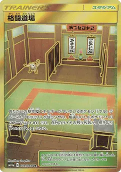 Martial Arts Dojo (Martial Arts Dojo)
