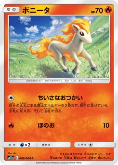 Ponyta (ポニータ)