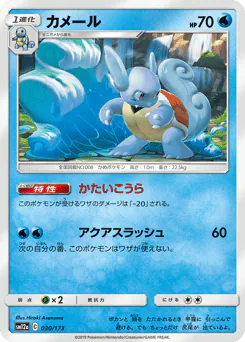 Wartortle (カメール)