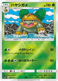 Grotle (ハヤシガメ)
