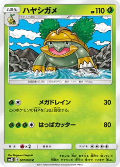 Grotle (ハヤシガメ)