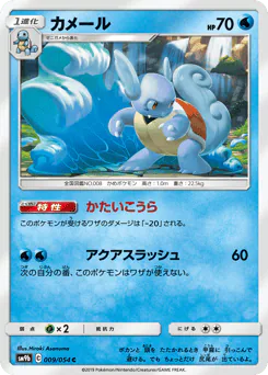 Wartortle (カメール)
