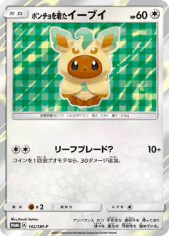Poncho-wearing Eevee (ポンチョを着たイーブイ)