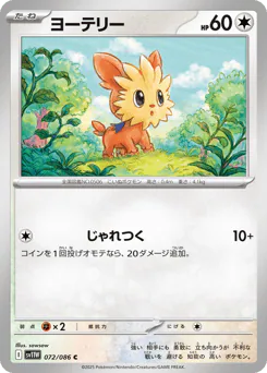 Lillipup (ヨーテリー)