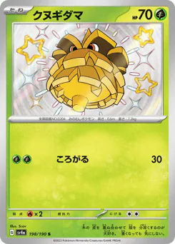Pineco (クヌギダマ)