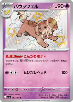 Dachsbun (バウッツェル)