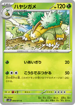 Grotle (ハヤシガメ)