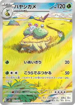 Grotle (ハヤシガメ)