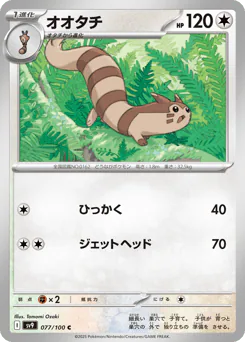 Furret (オオタチ)