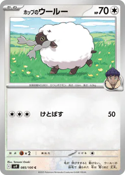 Hop's Wooloo (ホップのウールー)