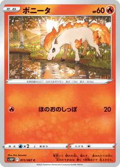 Ponyta (ポニータ)
