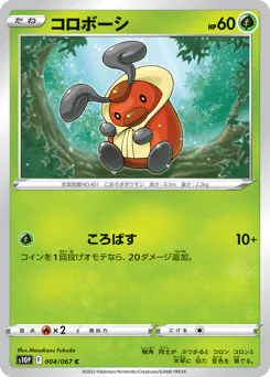 Kricketot (コロボーシ)