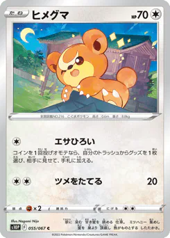 Teddiursa (ヒメグマ)