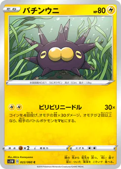 Pincurchin (バチンウニ)