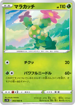 Maractus (マラカッチ)