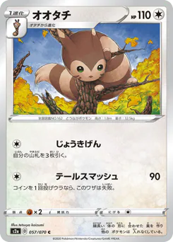 Furret (オオタチ)