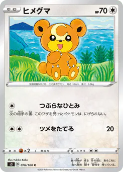 Teddiursa (ヒメグマ)