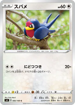 Taillow (スバメ)