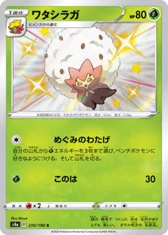 Eldegoss (ワタシラガ)