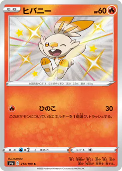 Scorbunny (ヒバニー)