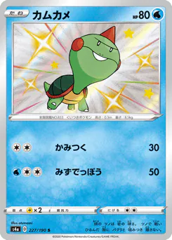 Chewtle (カムカメ)