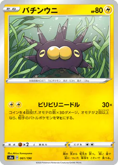 Pincurchin (バチンウニ)