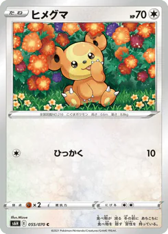 Teddiursa (ヒメグマ)
