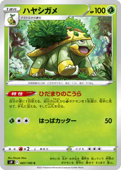Grotle (ハヤシガメ)