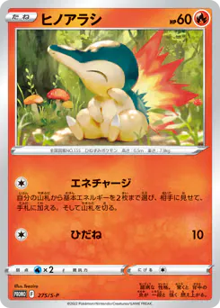 Cyndaquil (ヒノアラシ)