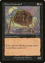 Giant Cockroach