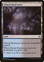 Dismal Backwater