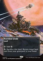 Petrified Field