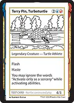 Terry Pin, Turboturtle