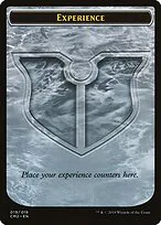 Experience