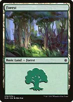 Forest