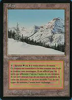 Taiga