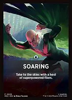 Soaring