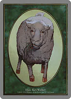 Sheep