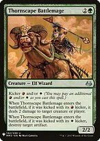 Thornscape Battlemage