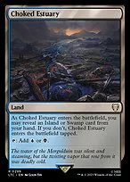 Choked Estuary
