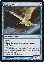 Welkin Tern