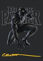 Black Panther, Hope Enduring // Black Panther, Hope Enduring